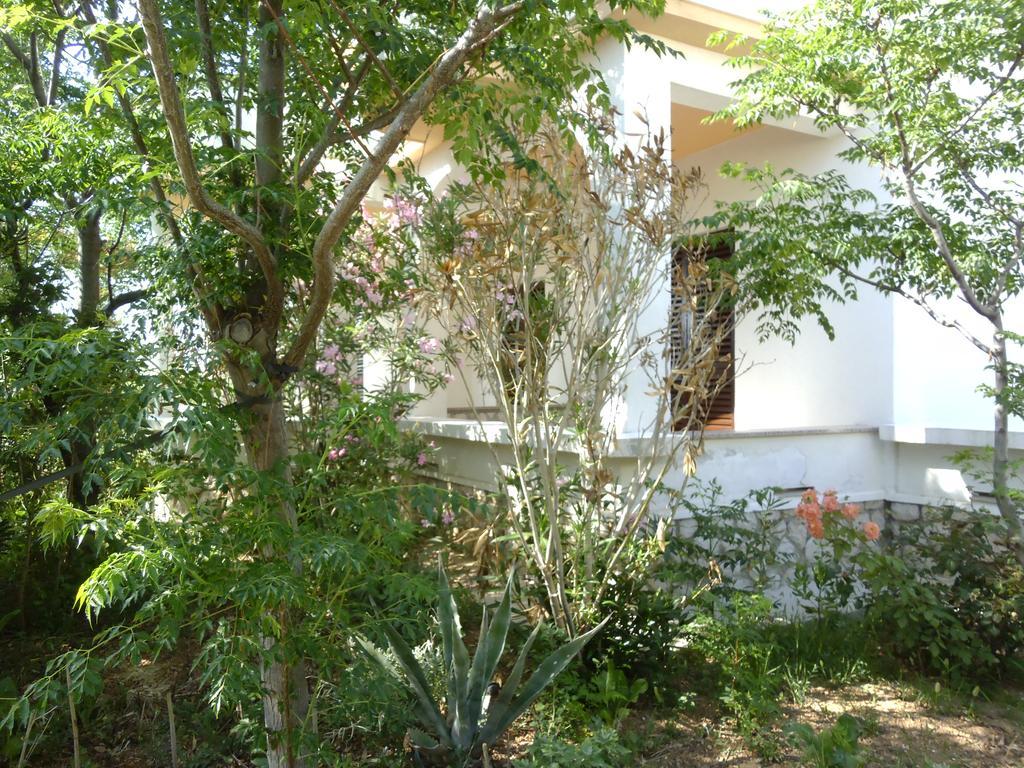 Apartments Kresimir Beauty With Shadow Trees And Parking Place Pag Town Room photo